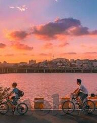 c 计算巴西世界杯-巴西世界杯，计算与激情的碰撞